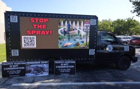 Florida gives preliminary approval to controversial black bear hunt amid strong opposition